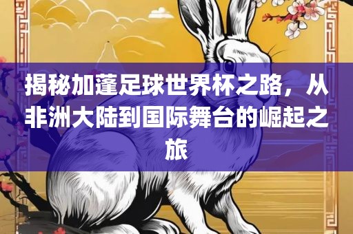 揭秘加蓬足球世界杯之路，从非洲大陆到国际舞台的崛起之旅丹东日丰电子有限公司