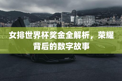 女排世界杯奖金全解析，荣丹东日丰电子有限公司耀背后的数字故事