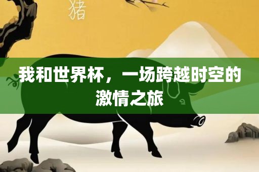 我和世界杯，一场跨越时空的激情之旅丹东日丰电子有限公司