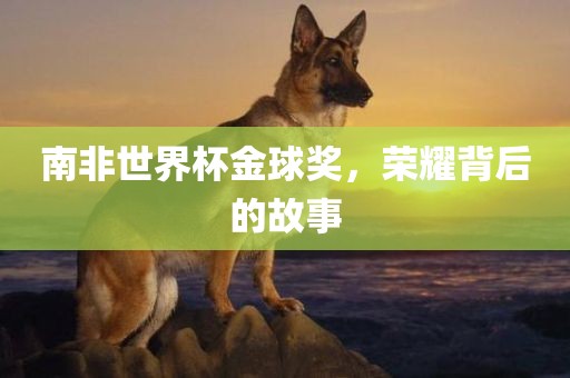 南非世界杯金球奖，荣耀背后的故事