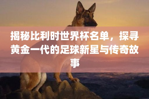 揭秘比利时世界杯名单，探寻黄金一代的足球新星与传奇故事丹东日丰电子有限公司