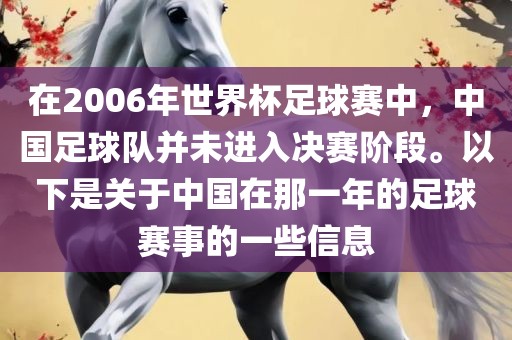 在2006年世界杯足球赛中，中国足球队并未进入决赛阶段。以下是关于中国在那一年的足球赛事的一些信息丹东日丰电子有限公司