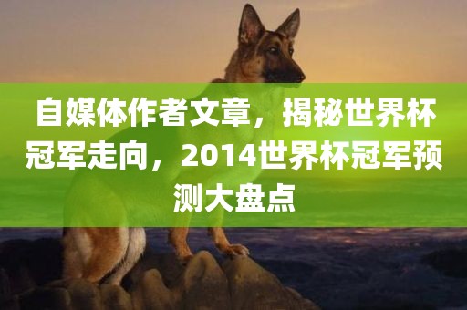 自媒体作者文章，揭秘世界杯冠军走向，2014世界杯冠军预测大盘点丹东日丰电子有限公司