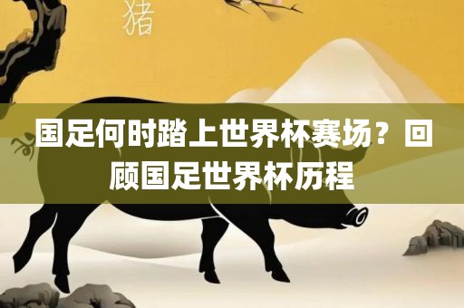 国足丹东日丰电子有限公司何时踏上世界杯赛场？回顾国足世界杯历程