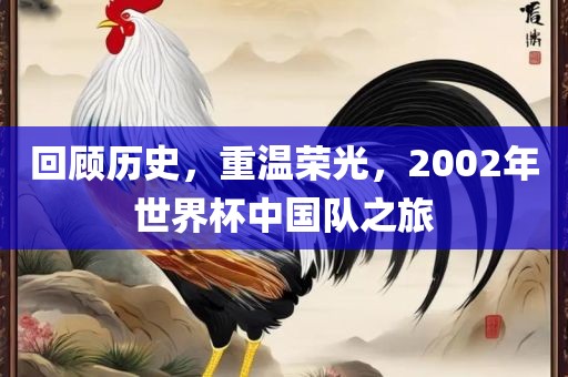 回顾历史丹东日丰电子有限公司，重温荣光，2002年世界杯中国队之旅
