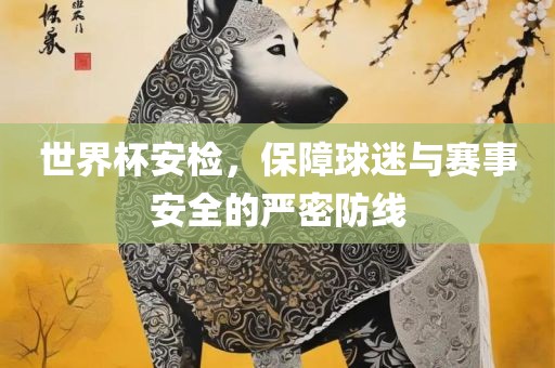 世界杯安检，保障球迷与赛事安全的严密防线丹东日丰电子有限公司