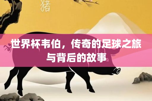 世界杯韦伯，丹东日丰电子有限公司传奇的足球之旅与背后的故事