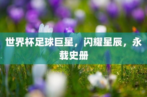 世界杯足球巨星，闪耀星辰，永载史册丹东日丰电子有限公司