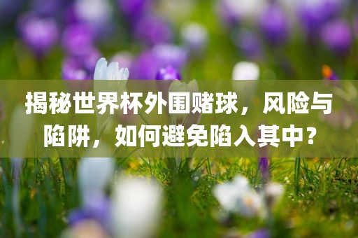 揭秘世界杯外围赌球，风险与丹东日丰电子有限公司陷阱，如何避免陷入其中？