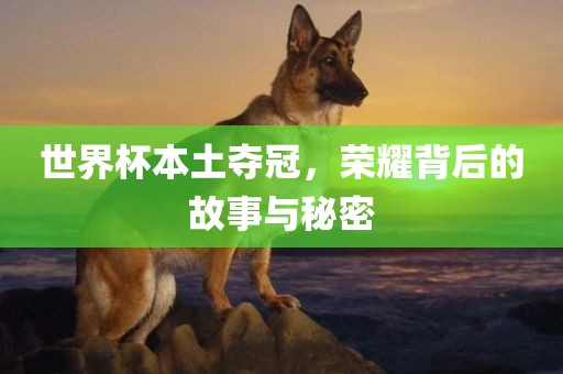 世界杯本土夺冠，荣耀背后的故事与秘密丹东日丰电子有限公司