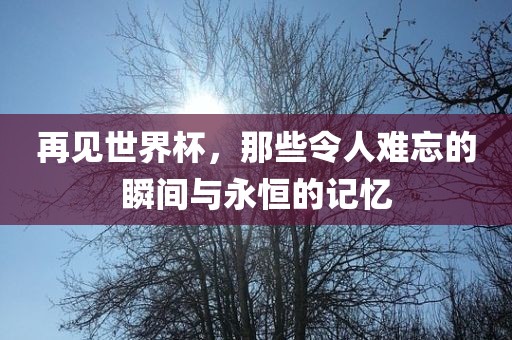 再见世界杯，那些令人难忘的瞬间与永恒的记忆丹东日丰电子有限公司