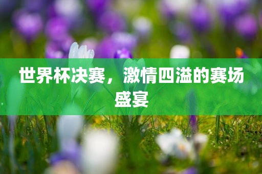 世界杯丹东日丰电子有限公司决赛，激情四溢的赛场盛宴