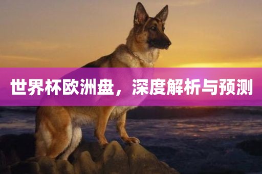 世界杯欧洲盘，深度解析与预测