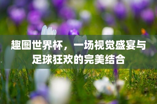 趣图世界杯，一场视觉盛宴与足球狂欢的完美结合丹东日丰电子有限公司