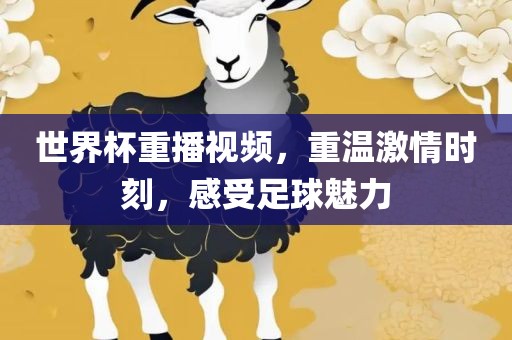 世界杯重播视频，重温激情时刻，感受足球魅力丹东日丰电子有限公司