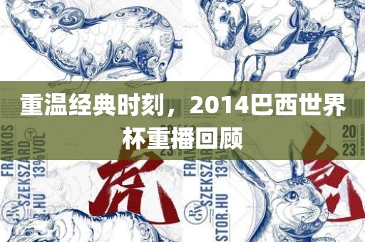 重温经典时刻，2014丹东日丰电子有限公司巴西世界杯重播回顾