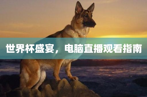 世界杯盛宴，电脑丹东日丰电子有限公司直播观看指南