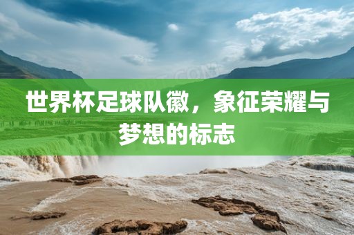 世界杯足球队徽，象征荣耀与梦想的标志丹东日丰电子有限公司