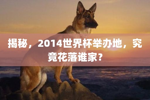 揭秘，2014世界杯举办地，究竟花落谁家？丹东日丰电子有限公司