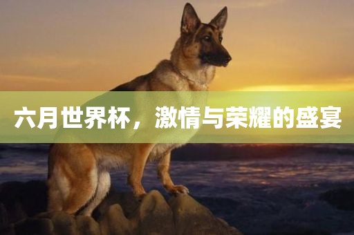 激情与荣耀 第4页