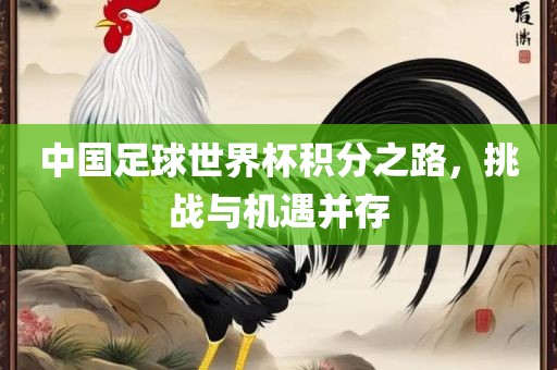 中国足球世界杯积分之路，挑战与机遇并存