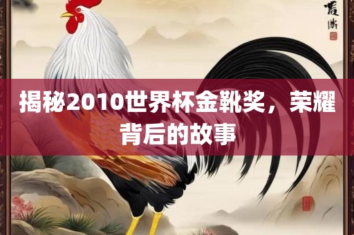 揭秘2010世界杯金靴奖，荣耀背后的故事