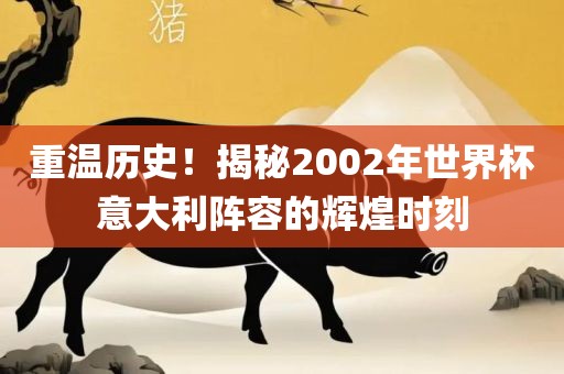 重温历史！揭秘2002年世界杯意大利阵容的辉煌时刻