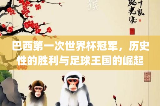 巴西第一次世界杯冠军，历史性的胜利与足球王国的崛起丹东日丰电子有限公司