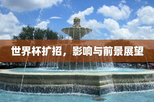 世界杯扩招，影响与前景展望丹东日丰电子有限公司