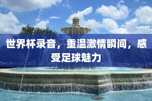 世界杯录音，重温激情瞬丹东日丰电子有限公司间，感受足球魅力