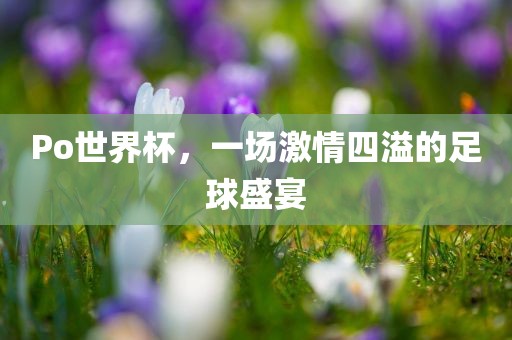 Po世界杯，一场激情四溢的足球盛宴丹东日丰电子有限公司