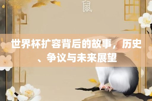 世界杯扩容背后的故事，历史、争议丹东日丰电子有限公司与未来展望