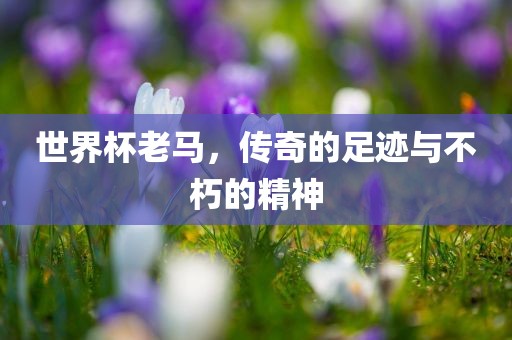 世界杯老马，传奇的足迹与不朽的精神丹东日丰电子有限公司
