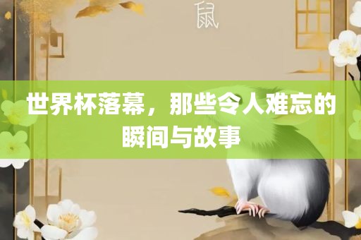 世界杯丹东日丰电子有限公司落幕，那些令人难忘的瞬间与故事