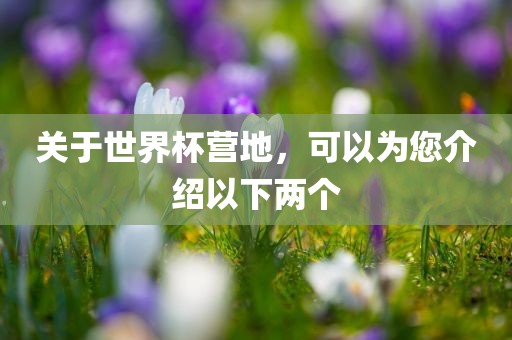 关于世界杯营地，可以为您介绍以下两个丹东日丰电子有限公司