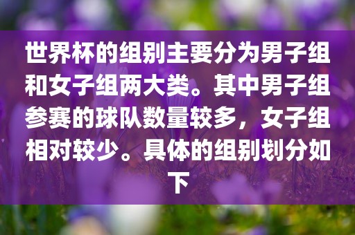 世界杯的组别主要分为男子组和女子组两大类。其中男子组参赛的球队数量较多，女子组相对较少。具体的组别划分如下丹东日丰电子有限公司