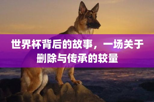 世界杯丹东日丰电子有限公司背后的故事，一场关于删除与传承的较量