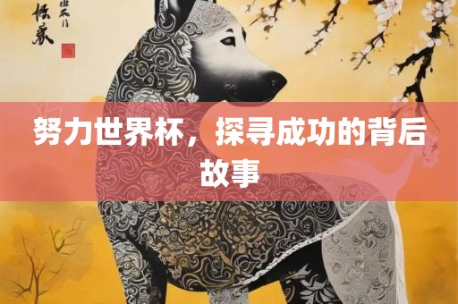 努力世界杯，探寻成功的背后故事