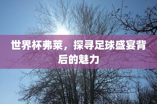 世界杯弗莱，探寻足球盛宴背后的魅力