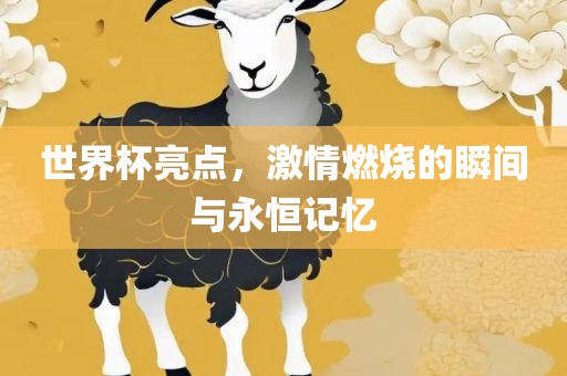 世界杯亮点，激情燃烧的瞬间与永恒记忆