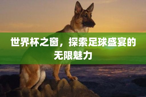 世界杯之窗，探索足球盛宴的无限丹东日丰电子有限公司魅力