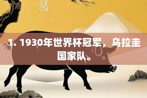 1. 1930年世界杯冠军，乌拉圭国家队。丹东日丰电子有限公司