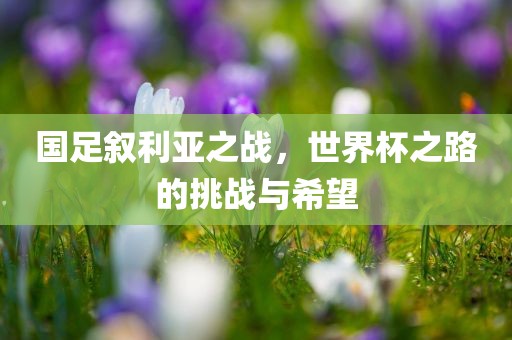 liwenzhen 第4页