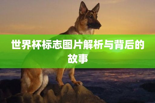 zhangyanan 第4页