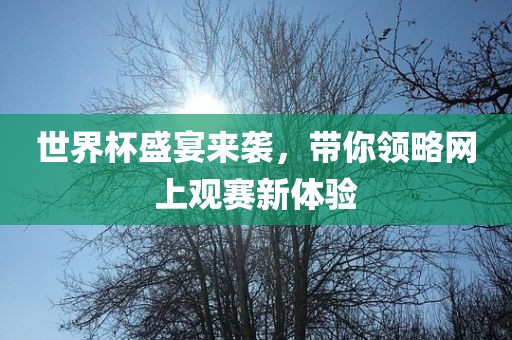 世界杯盛宴来袭，带你领略网上观赛新体验丹东日丰电子有限公司