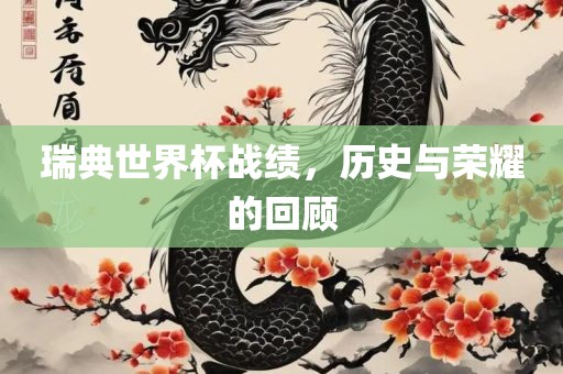 瑞典世界杯战绩，历史与荣耀的回顾