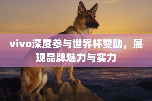 vivo深度参与世界杯赞助，展现品牌魅力与实力丹东日丰电子有限公司