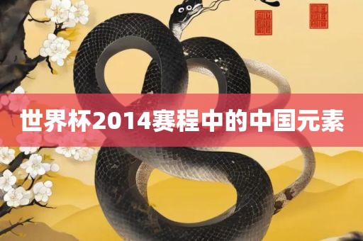 世界杯2014赛程中的中国元丹东日丰电子有限公司素