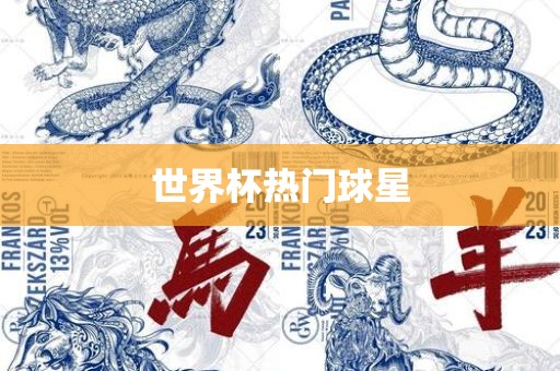 世界杯热门球星