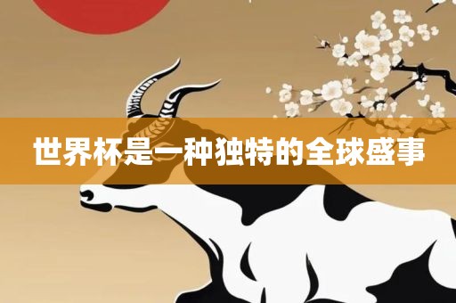 世界杯是一种独特的全球盛事